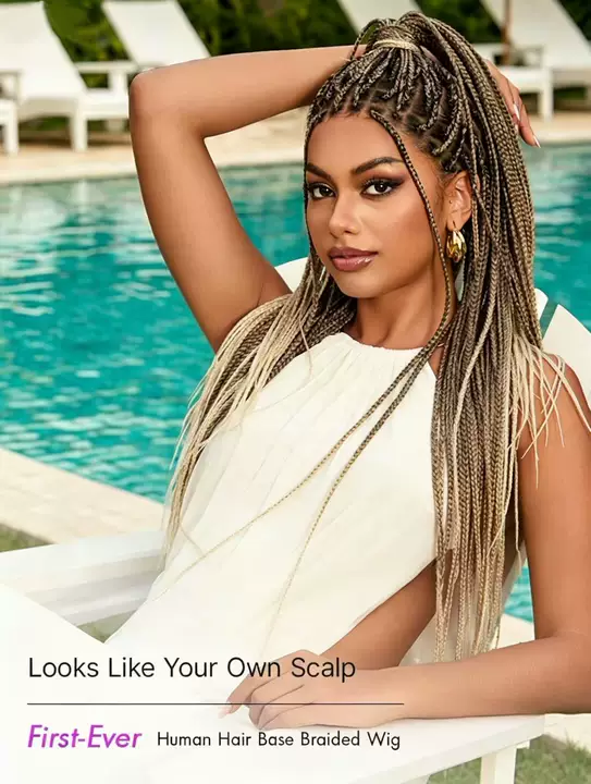 🔥Last Day:81% Off🔥Salon Braids HD Lace Knotless Wig